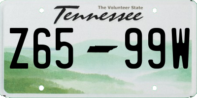 TN license plate Z6599W