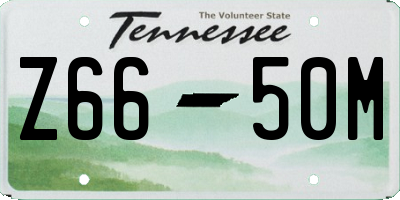 TN license plate Z6650M