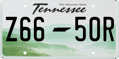 TN license plate Z6650R