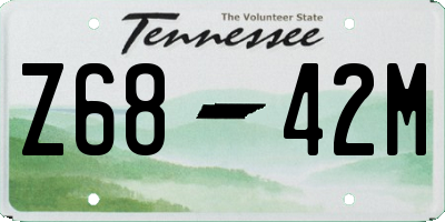 TN license plate Z6842M
