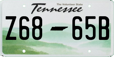 TN license plate Z6865B