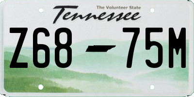 TN license plate Z6875M