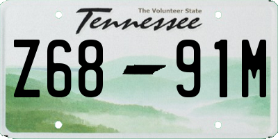 TN license plate Z6891M