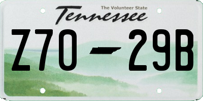 TN license plate Z7029B