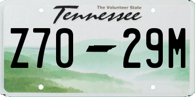 TN license plate Z7029M