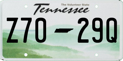 TN license plate Z7029Q