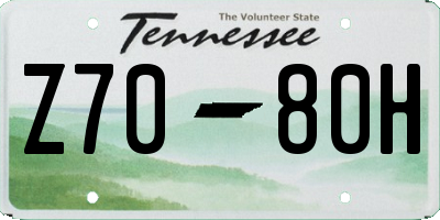TN license plate Z7080H