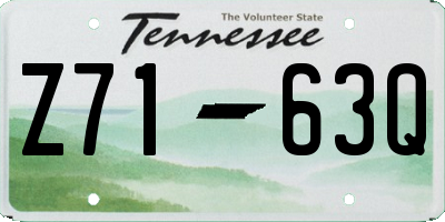TN license plate Z7163Q