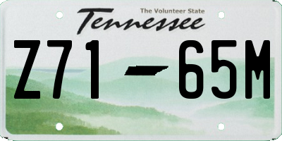 TN license plate Z7165M