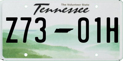 TN license plate Z7301H