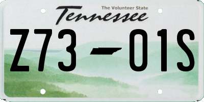 TN license plate Z7301S