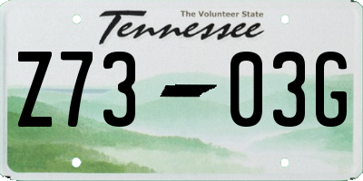 TN license plate Z7303G