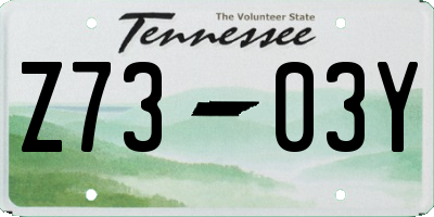 TN license plate Z7303Y