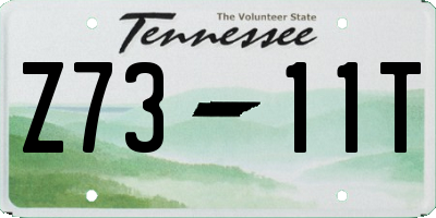 TN license plate Z7311T