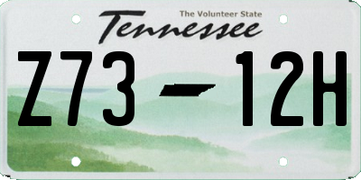 TN license plate Z7312H