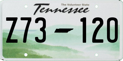 TN license plate Z7312O