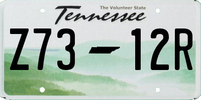 TN license plate Z7312R
