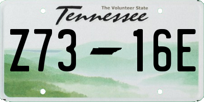 TN license plate Z7316E