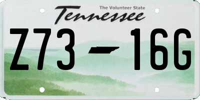 TN license plate Z7316G
