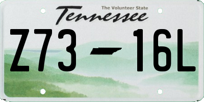 TN license plate Z7316L