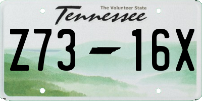 TN license plate Z7316X
