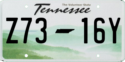 TN license plate Z7316Y
