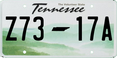 TN license plate Z7317A