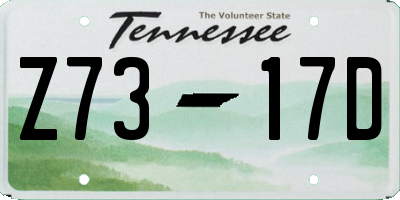 TN license plate Z7317D