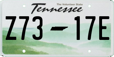 TN license plate Z7317E