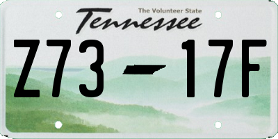 TN license plate Z7317F