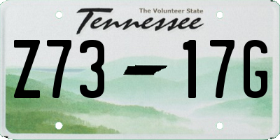 TN license plate Z7317G