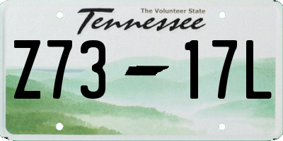 TN license plate Z7317L