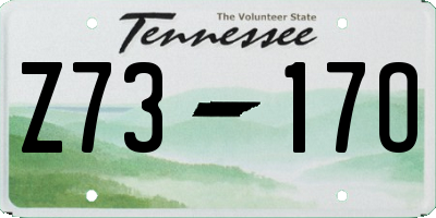 TN license plate Z7317O