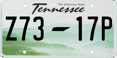 TN license plate Z7317P