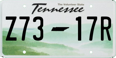 TN license plate Z7317R