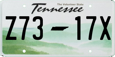 TN license plate Z7317X
