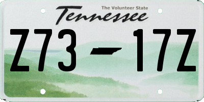 TN license plate Z7317Z