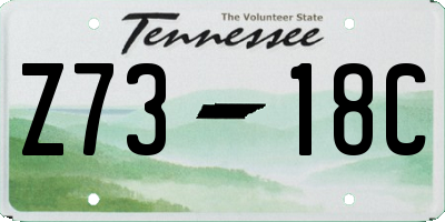 TN license plate Z7318C