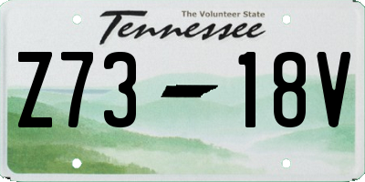 TN license plate Z7318V
