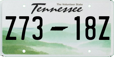 TN license plate Z7318Z