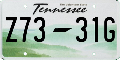 TN license plate Z7331G