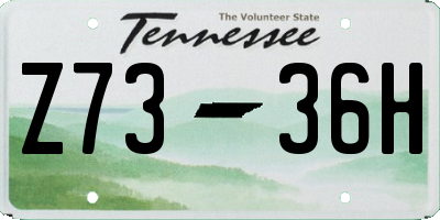 TN license plate Z7336H