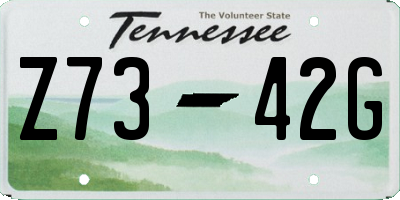 TN license plate Z7342G