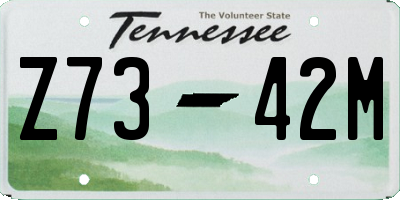 TN license plate Z7342M