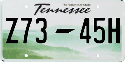 TN license plate Z7345H