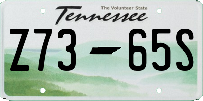 TN license plate Z7365S