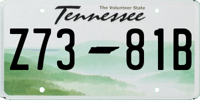 TN license plate Z7381B