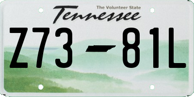 TN license plate Z7381L
