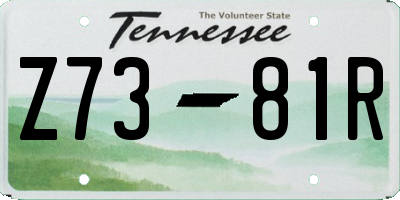 TN license plate Z7381R