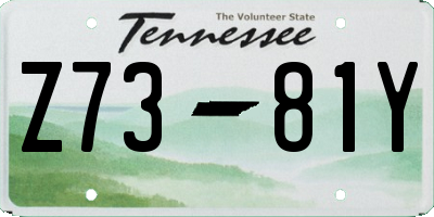 TN license plate Z7381Y